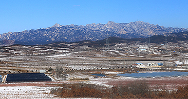一方凈土，莓園深處